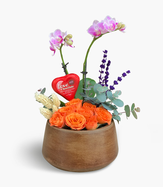 Aşk Mini Orkide Tasarımı