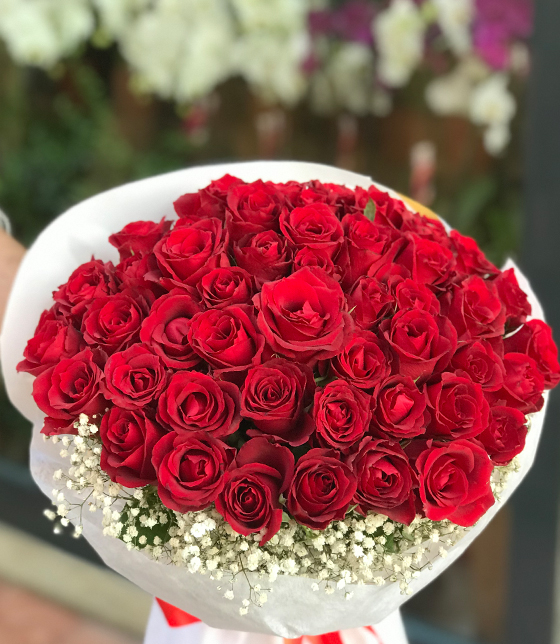 Aşkın Gülleri